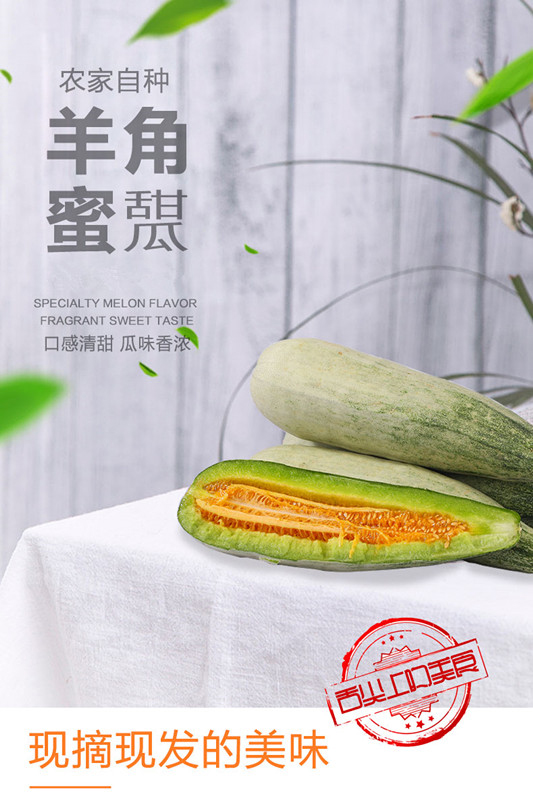 山东头茬羊角蜜瓜 4.5斤（原产地发货）