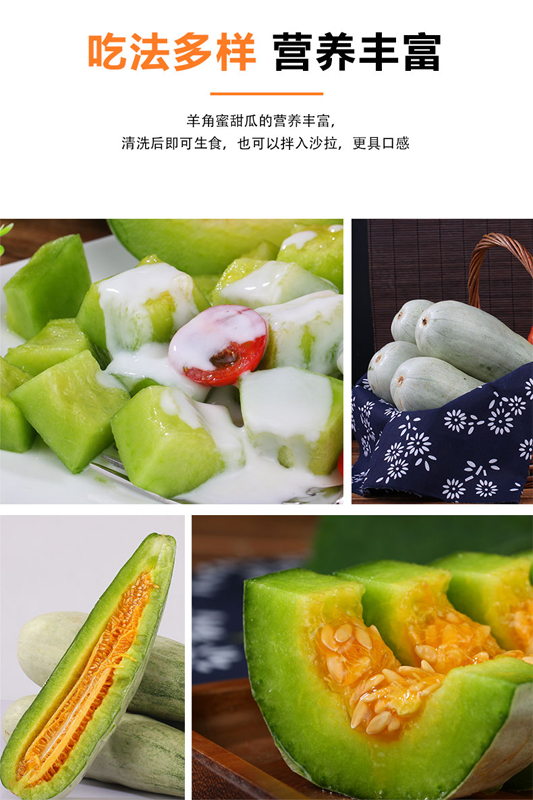 山东头茬羊角蜜瓜 4.5斤（原产地发货）