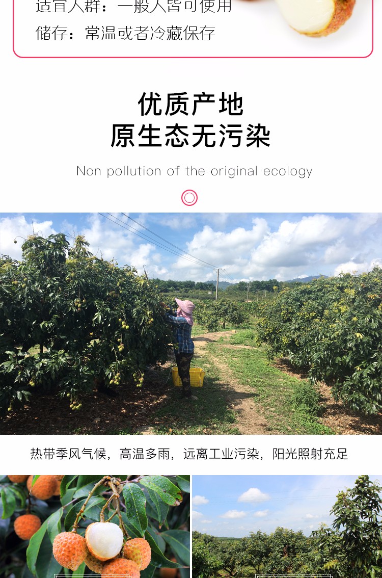 广东妃子笑荔枝 4.5斤（原产地发货）