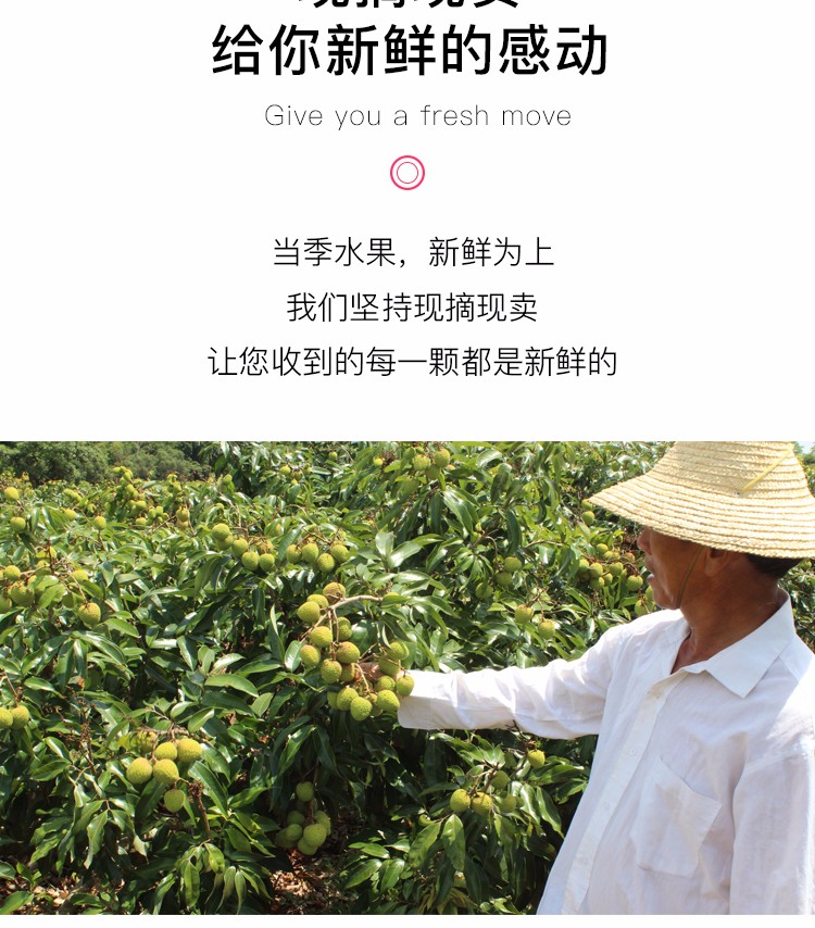 广东妃子笑荔枝 4.5斤（原产地发货）
