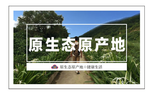 广东妃子笑荔枝 4.5斤（原产地发货）
