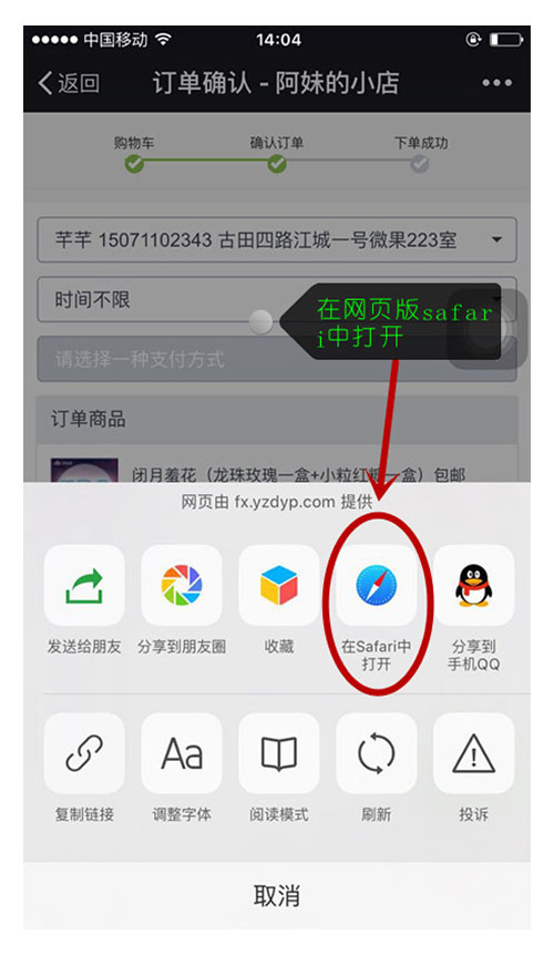 广东妃子笑荔枝 4.5斤（原产地发货）