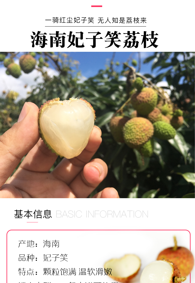 广东妃子笑荔枝 4.5斤（原产地发货）