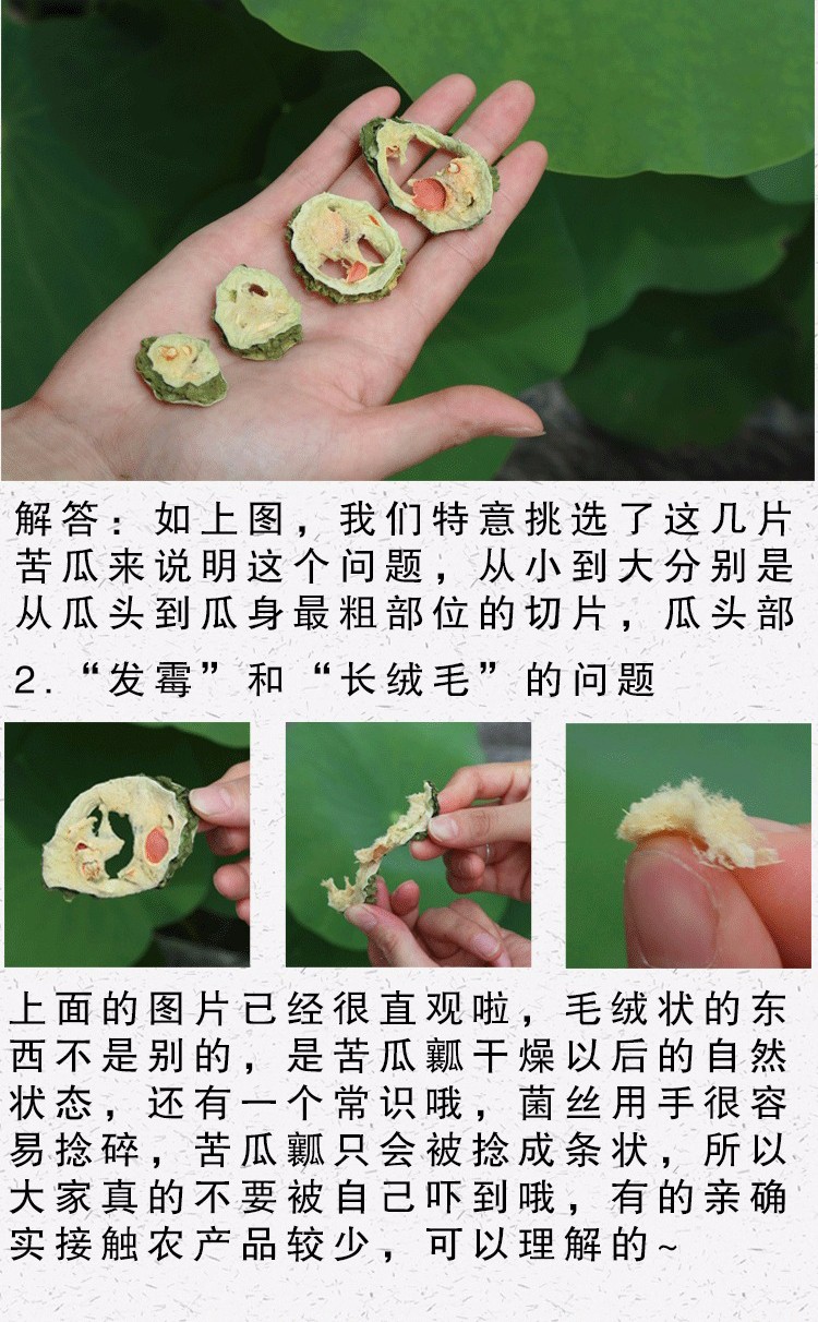 农家苦瓜茶2袋装（武汉库包邮）
