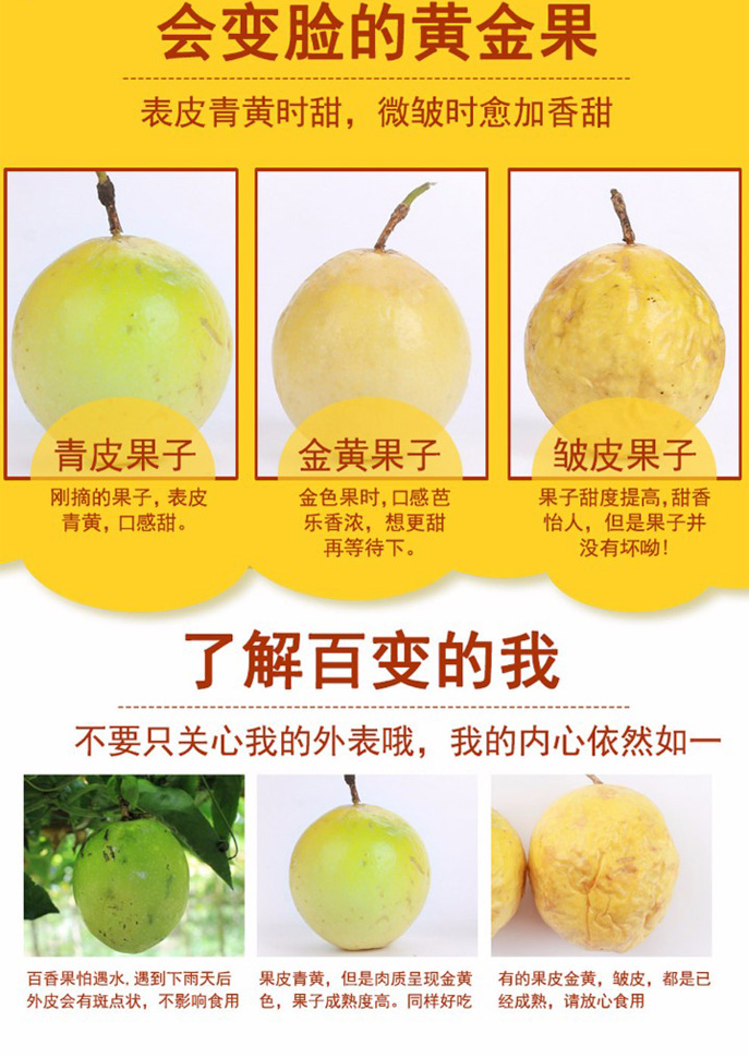 福建钦蜜百香果 黄金百香果（原产地直发）