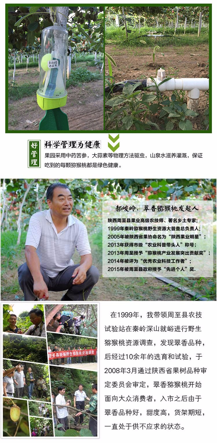 陕西翠香猕猴桃 绿心奇异果（原产地发货）