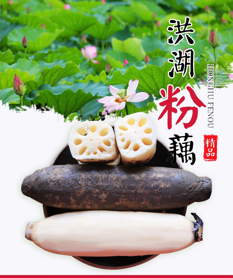湖北洪湖农家粉莲藕 洪湖粉藕（原产地发货）