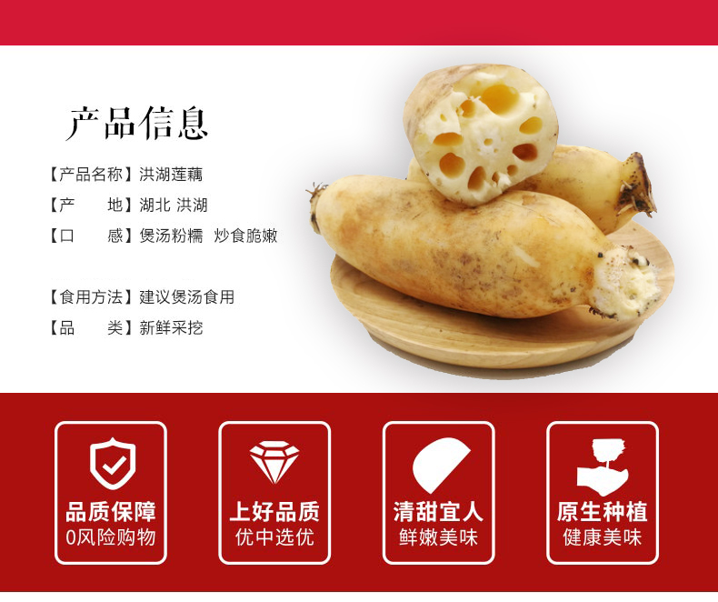 湖北洪湖农家粉莲藕 洪湖粉藕（原产地发货）