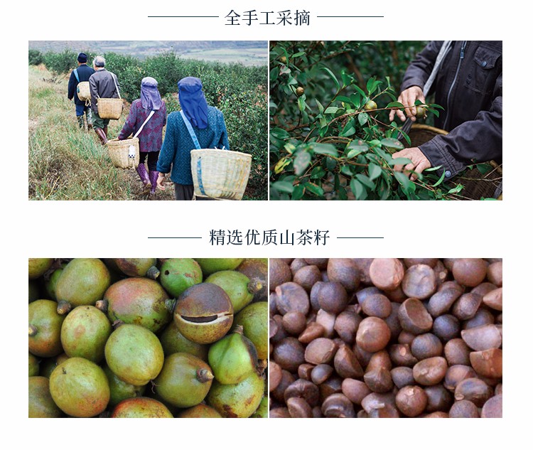 青彩山茶沐浴露