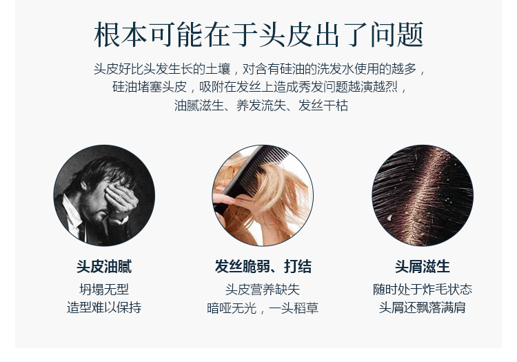 青彩山茶洗发水护发素山茶油洗发系列