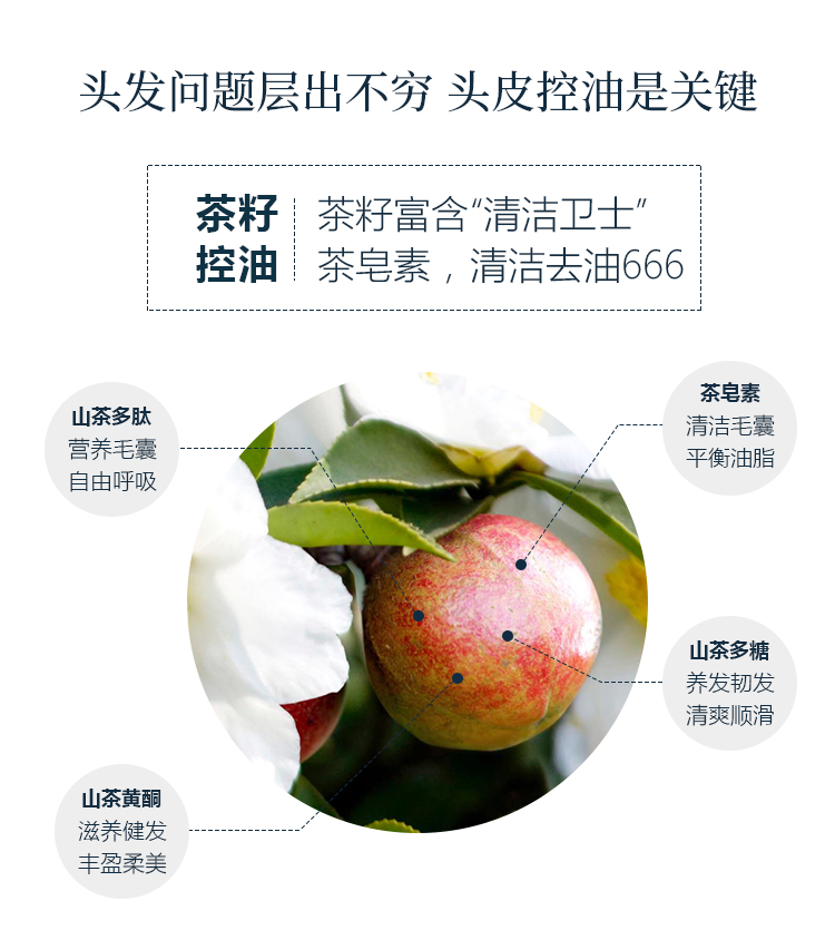 青彩山茶洗发水护发素山茶油洗发系列