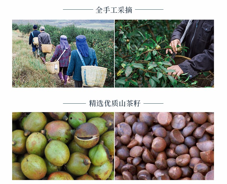 青彩山茶洗发水护发素山茶油洗发系列