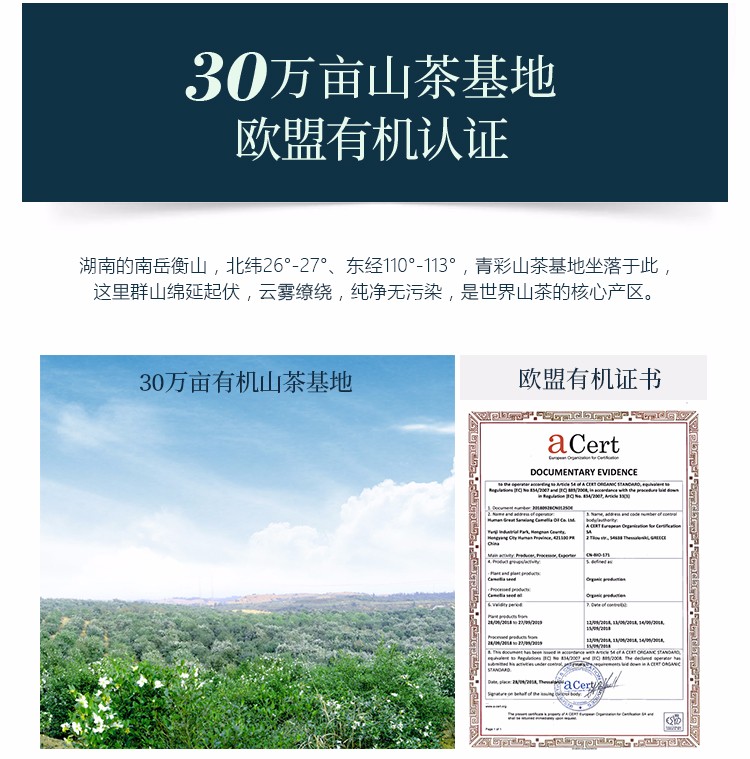 青彩山茶洗发水护发素山茶油洗发系列