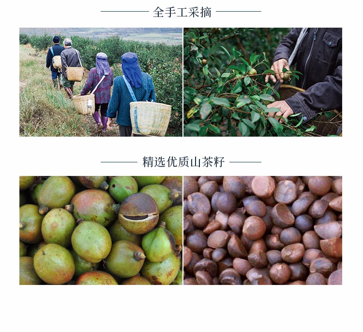 青彩山茶洗发水护发素山茶油洗发系列