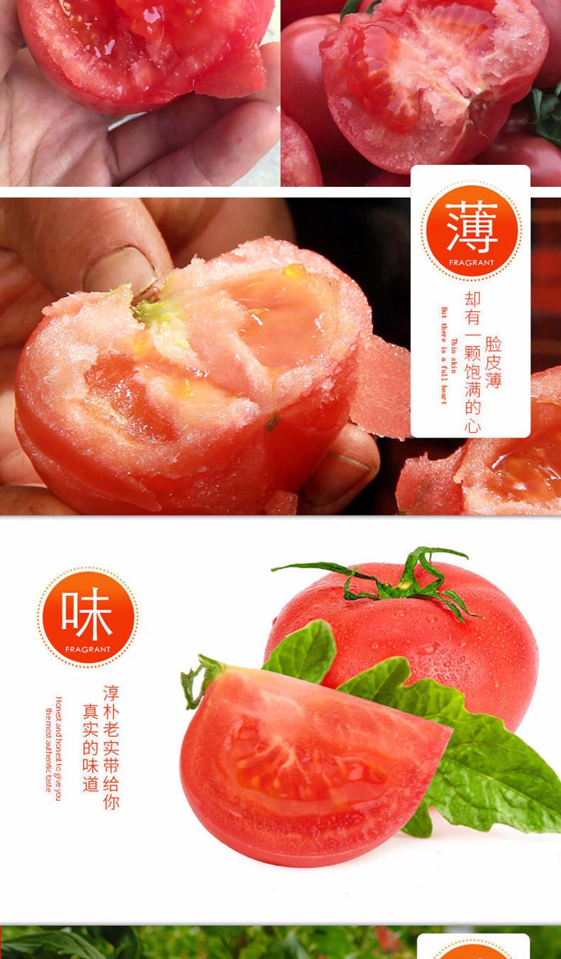 山东普罗旺斯西红柿4斤（原产地直发）