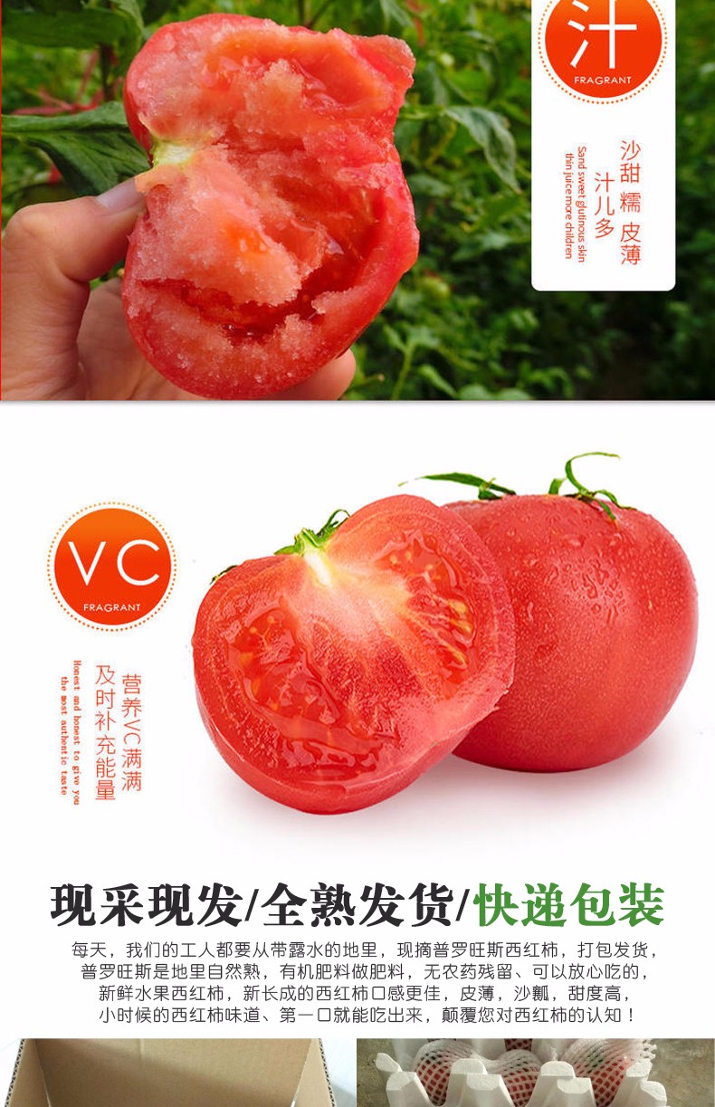 山东普罗旺斯西红柿4斤（原产地直发）