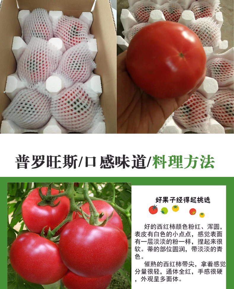 山东普罗旺斯西红柿4斤（原产地直发）