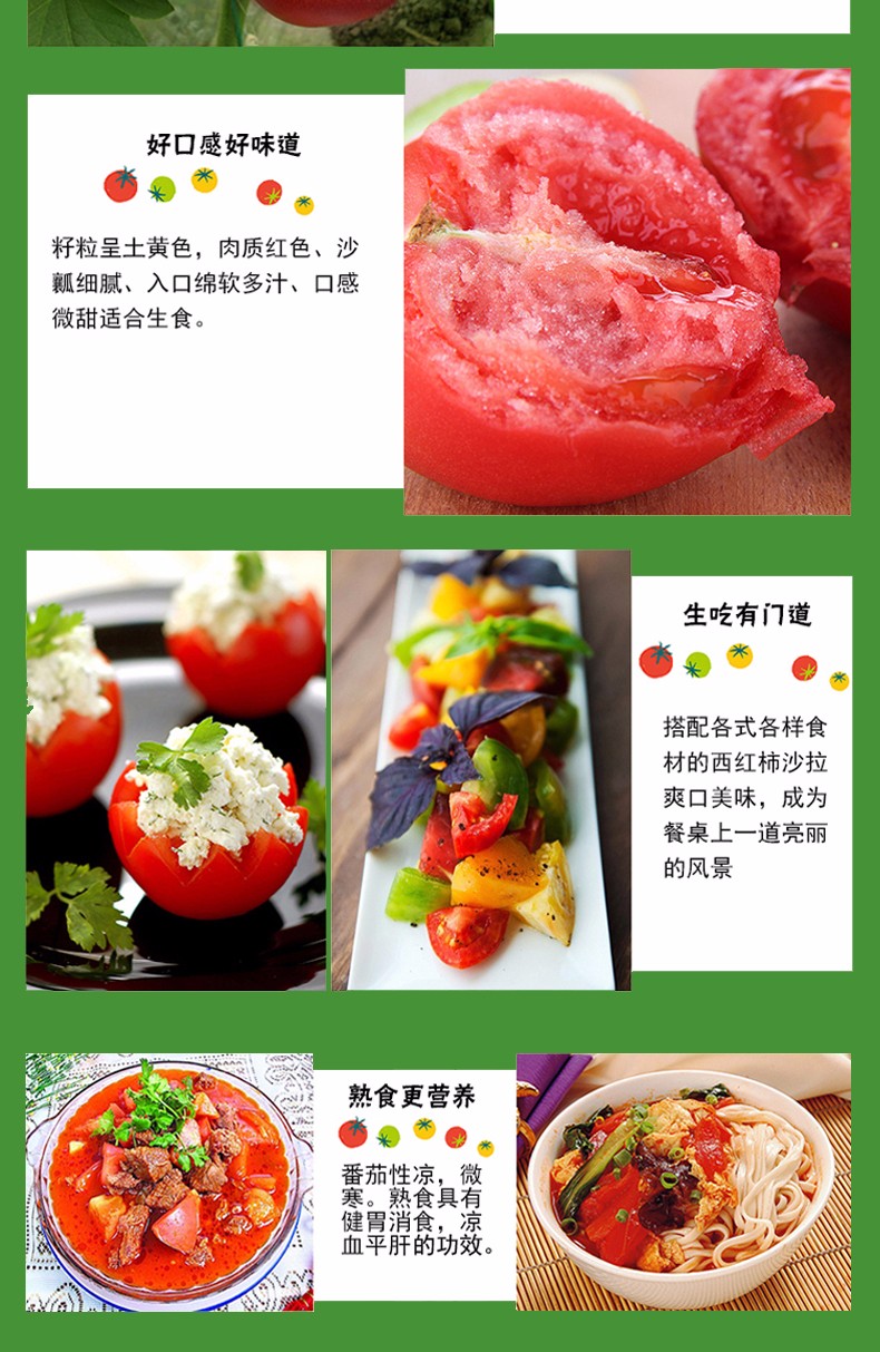山东普罗旺斯西红柿4斤（原产地直发）