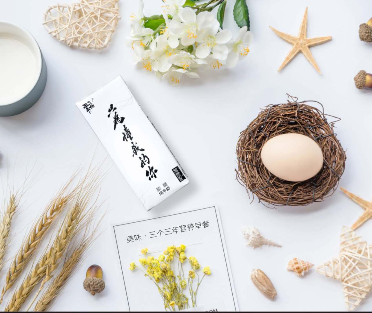 三个三年新疆特产纯牛奶 大奶250ml*12盒