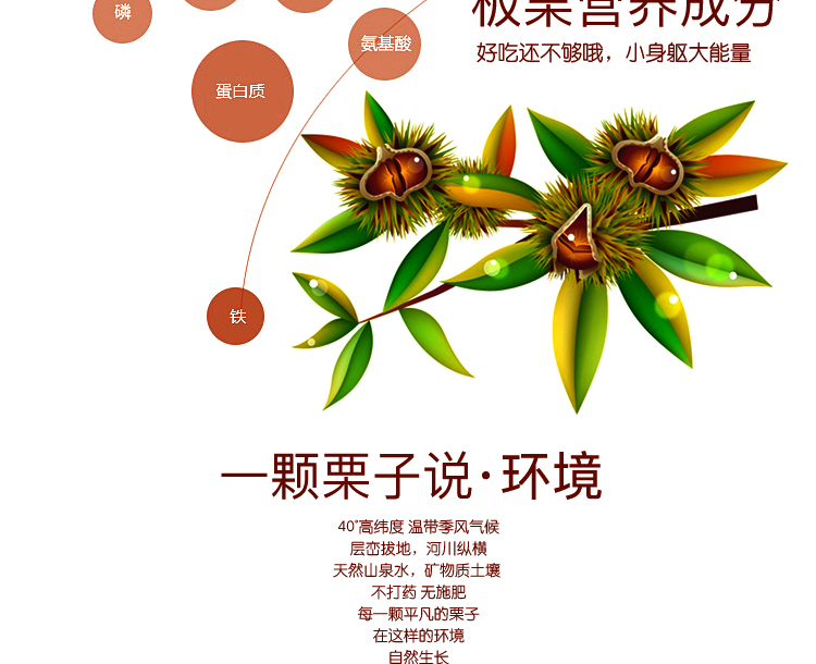 迁西板栗仁   熟板栗仁   （产地直发）