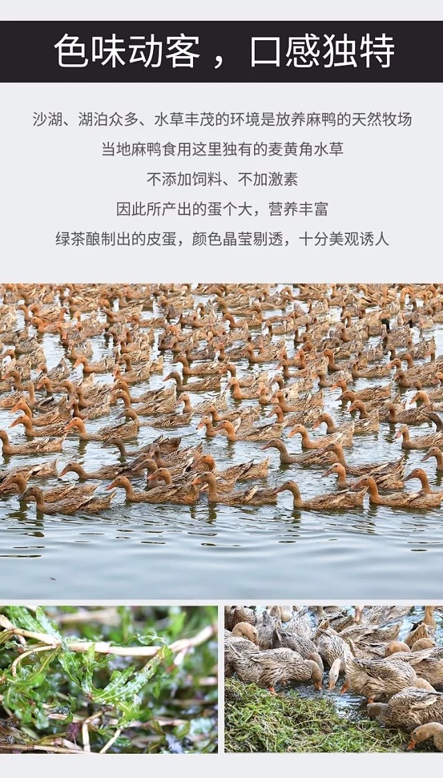 绿茶松花皮蛋 薄盐红泥咸蛋（湖北仓）