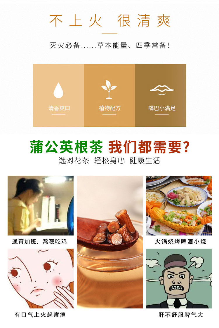 长白山熟蒲公英根茶（武汉库满98包邮）
