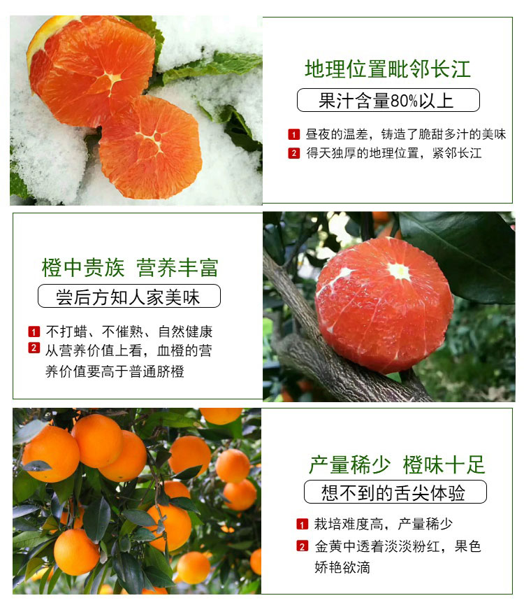 湖北秭归 中华红橙雪橙血橙（原产地发货）