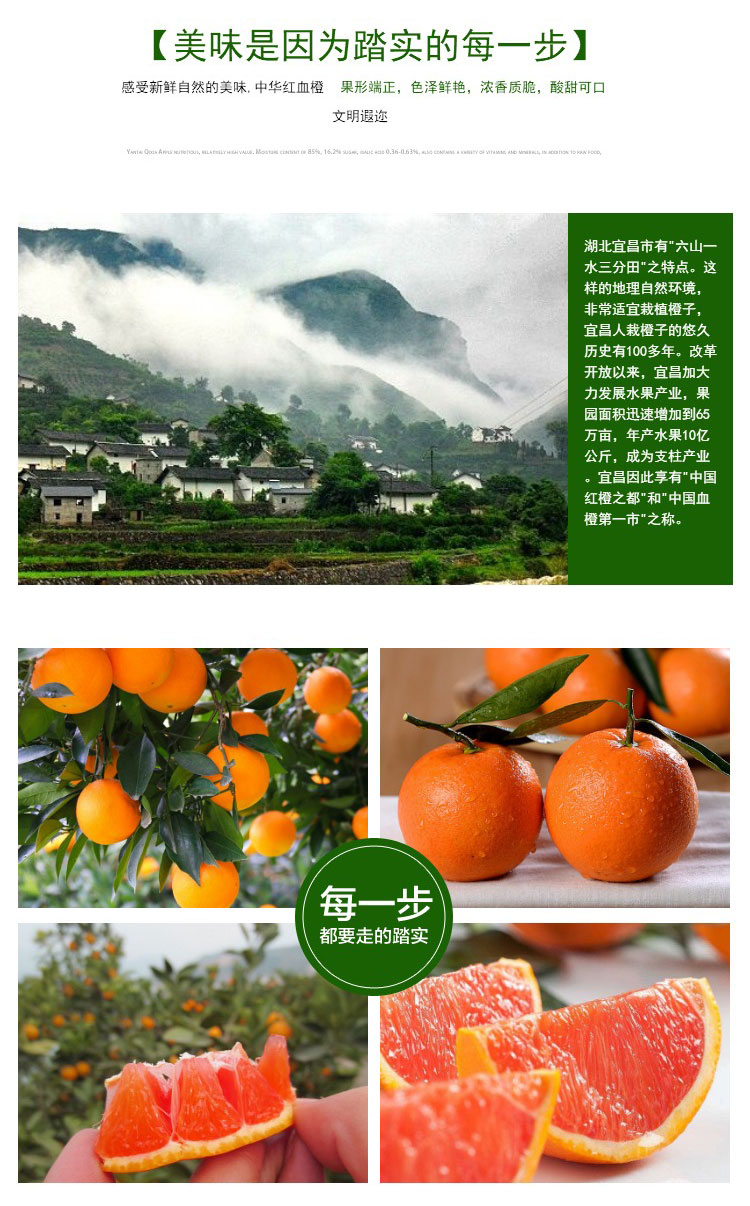 湖北秭归 中华红橙雪橙血橙（原产地发货）