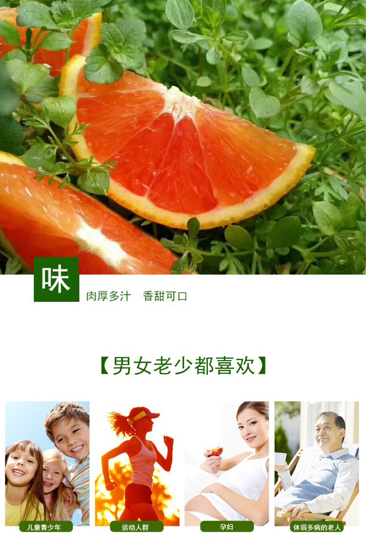 湖北秭归 中华红橙雪橙血橙（原产地发货）