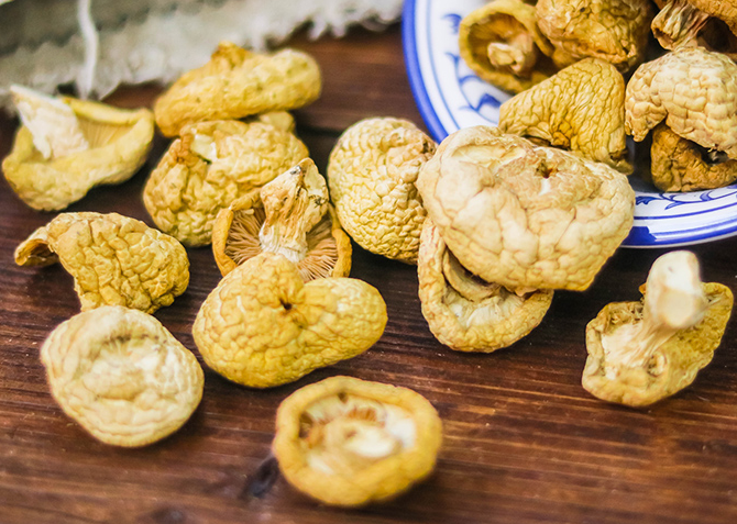 特价！青海祁连野生草原皇菇黄蘑菇（青海产地直发）