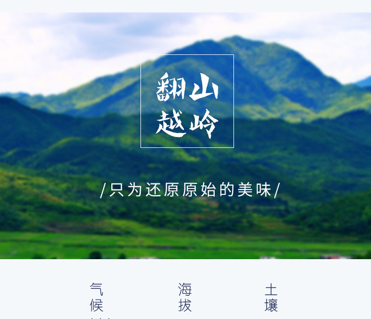 东北赤豆赤小豆红豆（武汉库满98包邮）