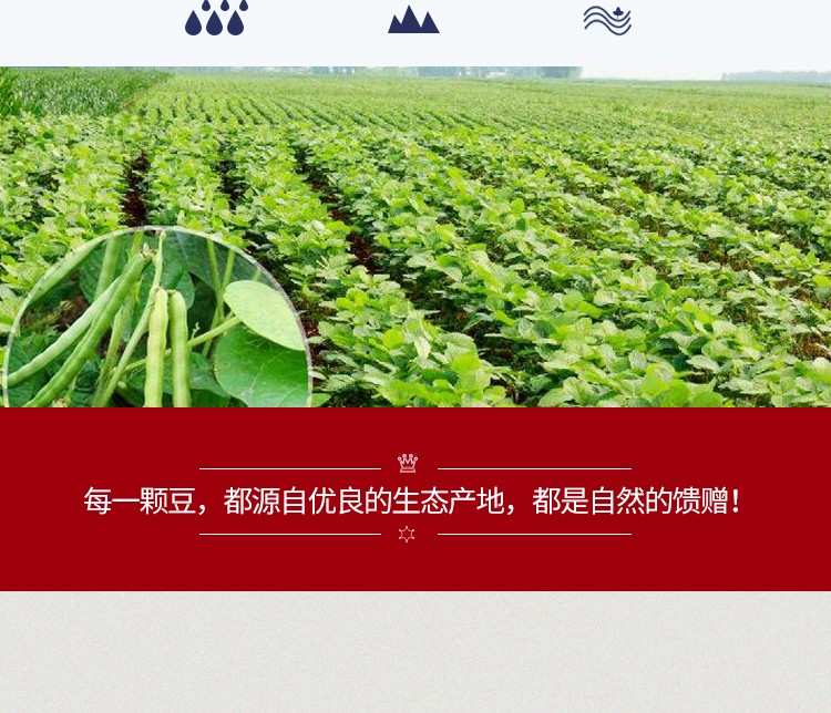 东北赤豆赤小豆红豆（武汉库满98包邮）