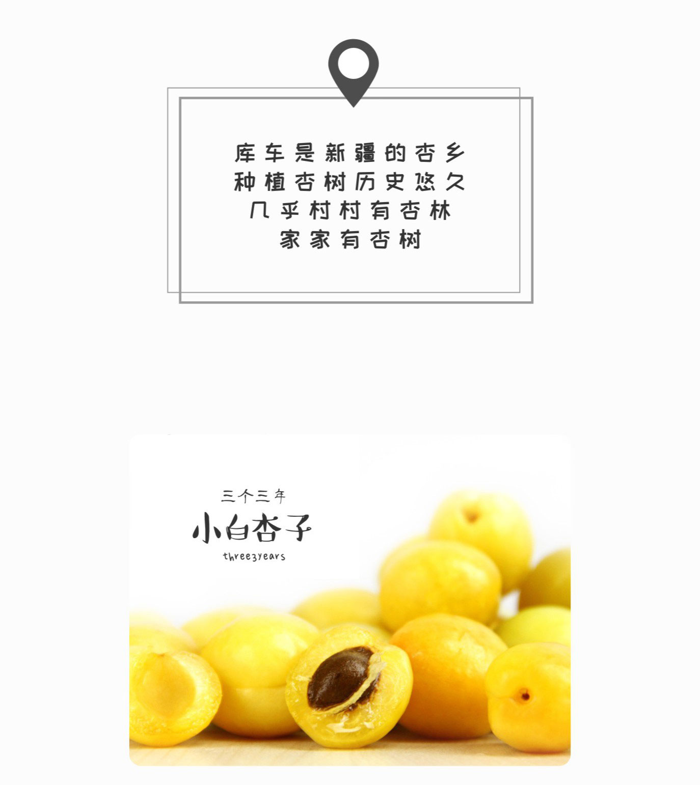预售特价 三个三年西怀风味新疆库车小白杏子（原产地发货）