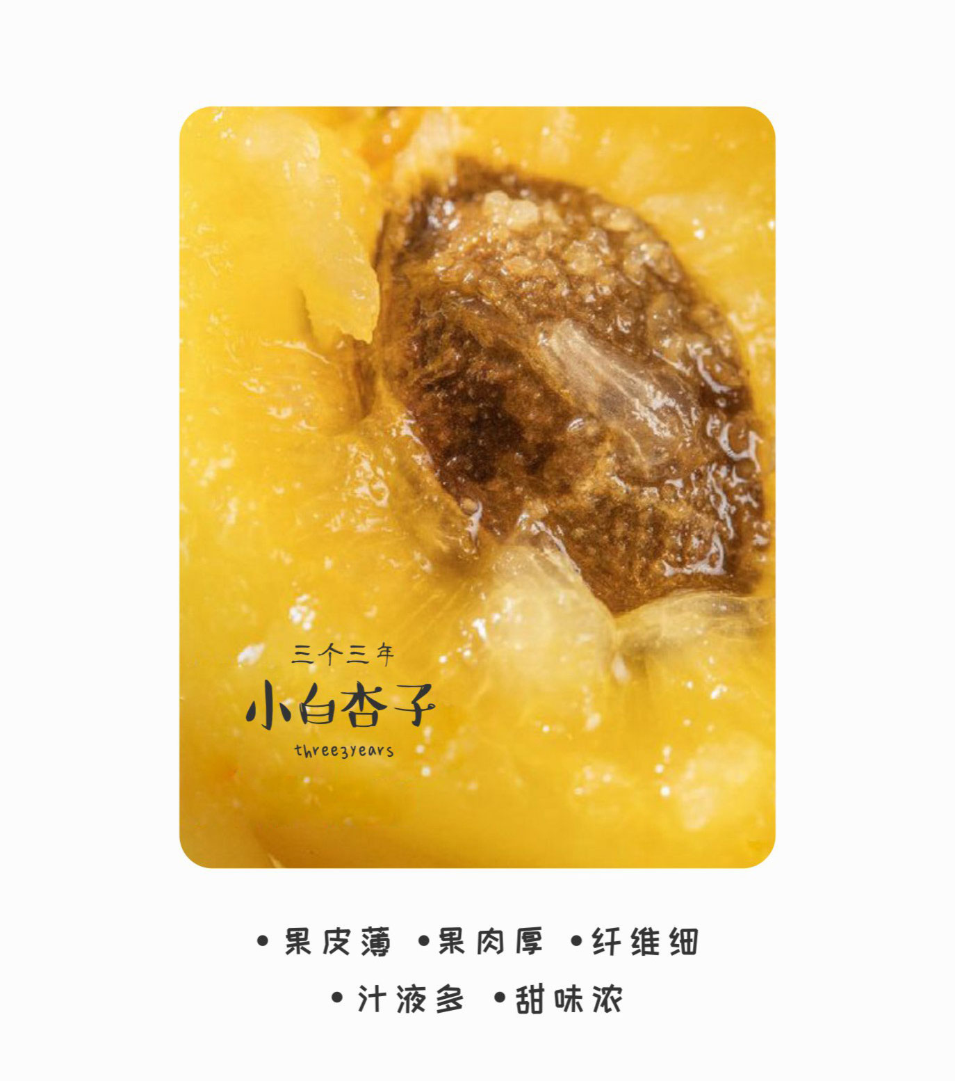 预售特价 三个三年西怀风味新疆库车小白杏子（原产地发货）