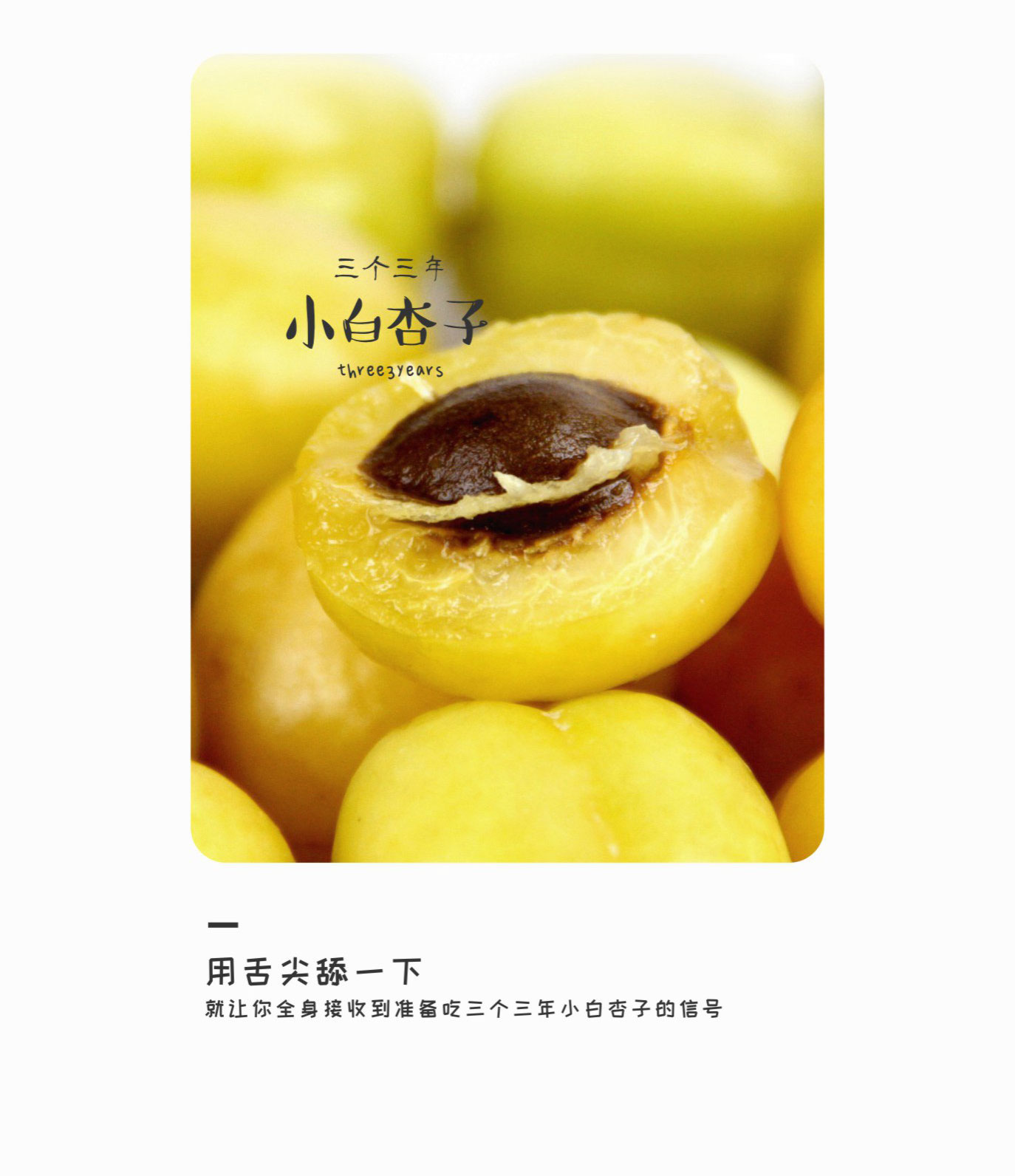 预售特价 三个三年西怀风味新疆库车小白杏子（原产地发货）