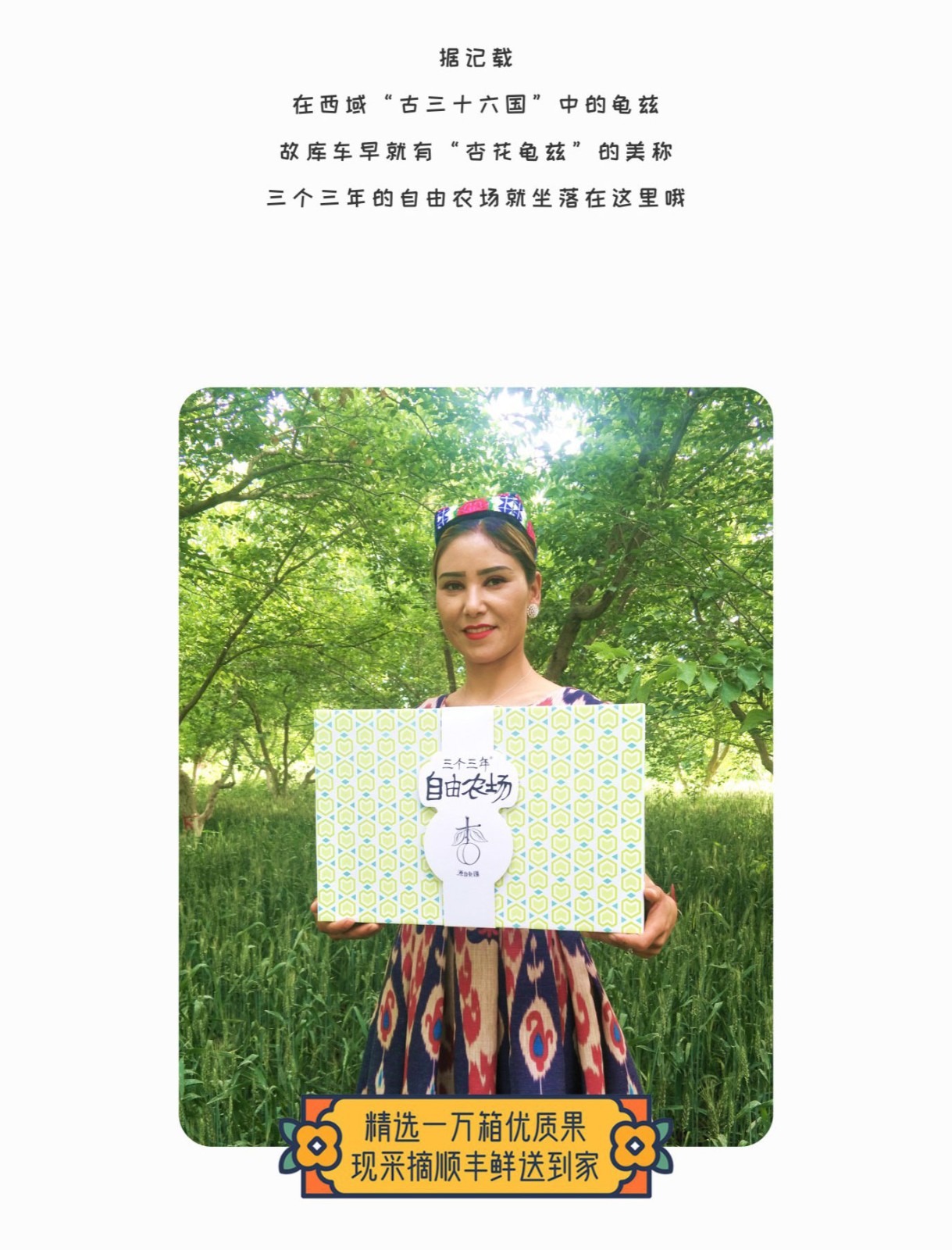 预售特价 三个三年西怀风味新疆库车小白杏子（原产地发货）