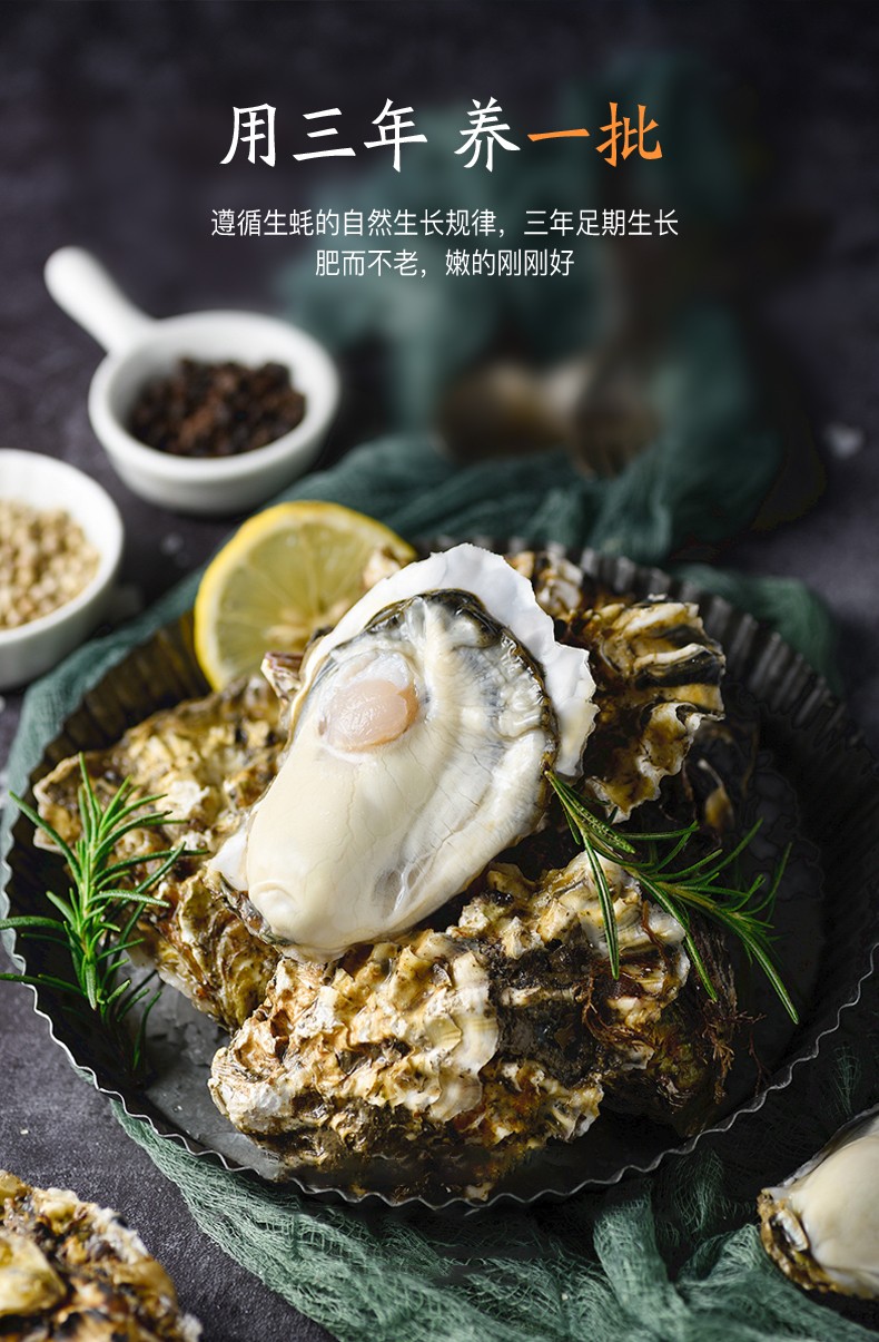 特价 鲜活乳山生蚝牡蛎（原产地库）