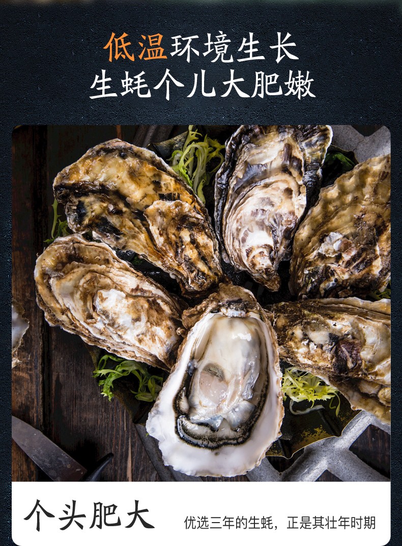 特价 鲜活乳山生蚝牡蛎（原产地库）