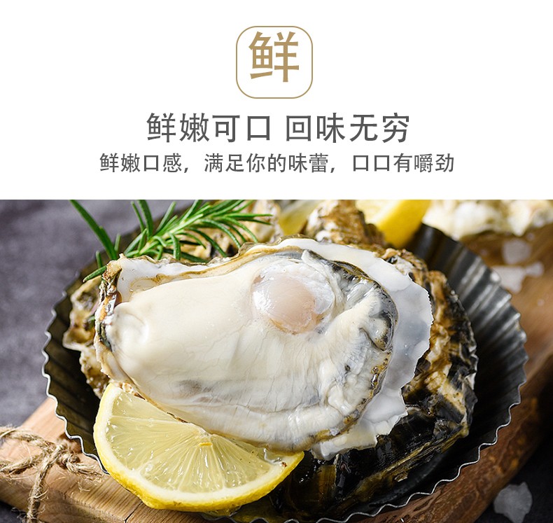 特价 鲜活乳山生蚝牡蛎（原产地库）