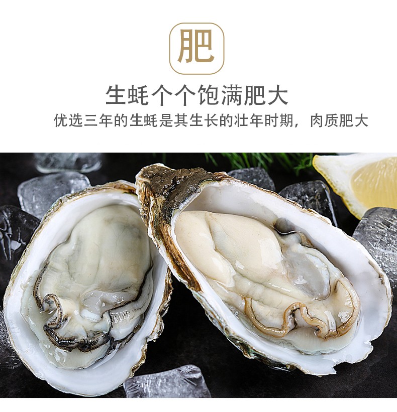特价 鲜活乳山生蚝牡蛎（原产地库）