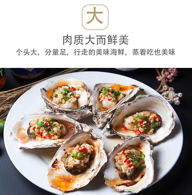 特价 鲜活乳山生蚝牡蛎（原产地库）