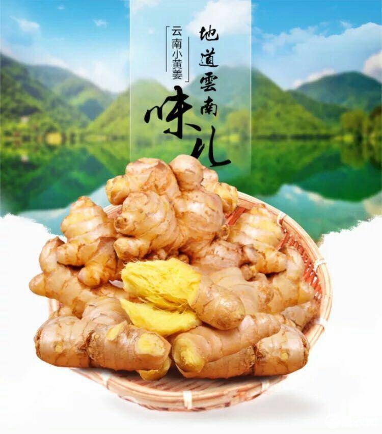 2024年云南小黄姜 当季老姜（原产地发货）