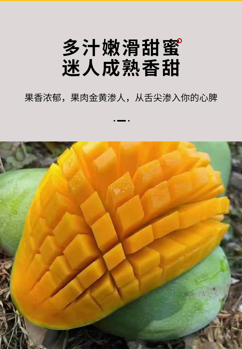 云南西双版纳大青芒（原产地发货）