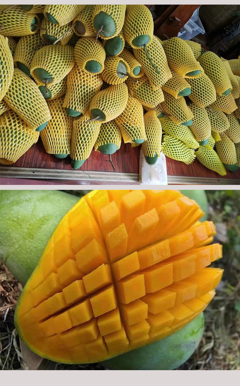 云南西双版纳大青芒（原产地发货）
