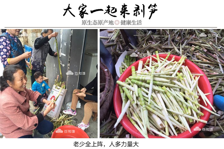 江西上饶三清山 干笋尖片（武汉库包邮）