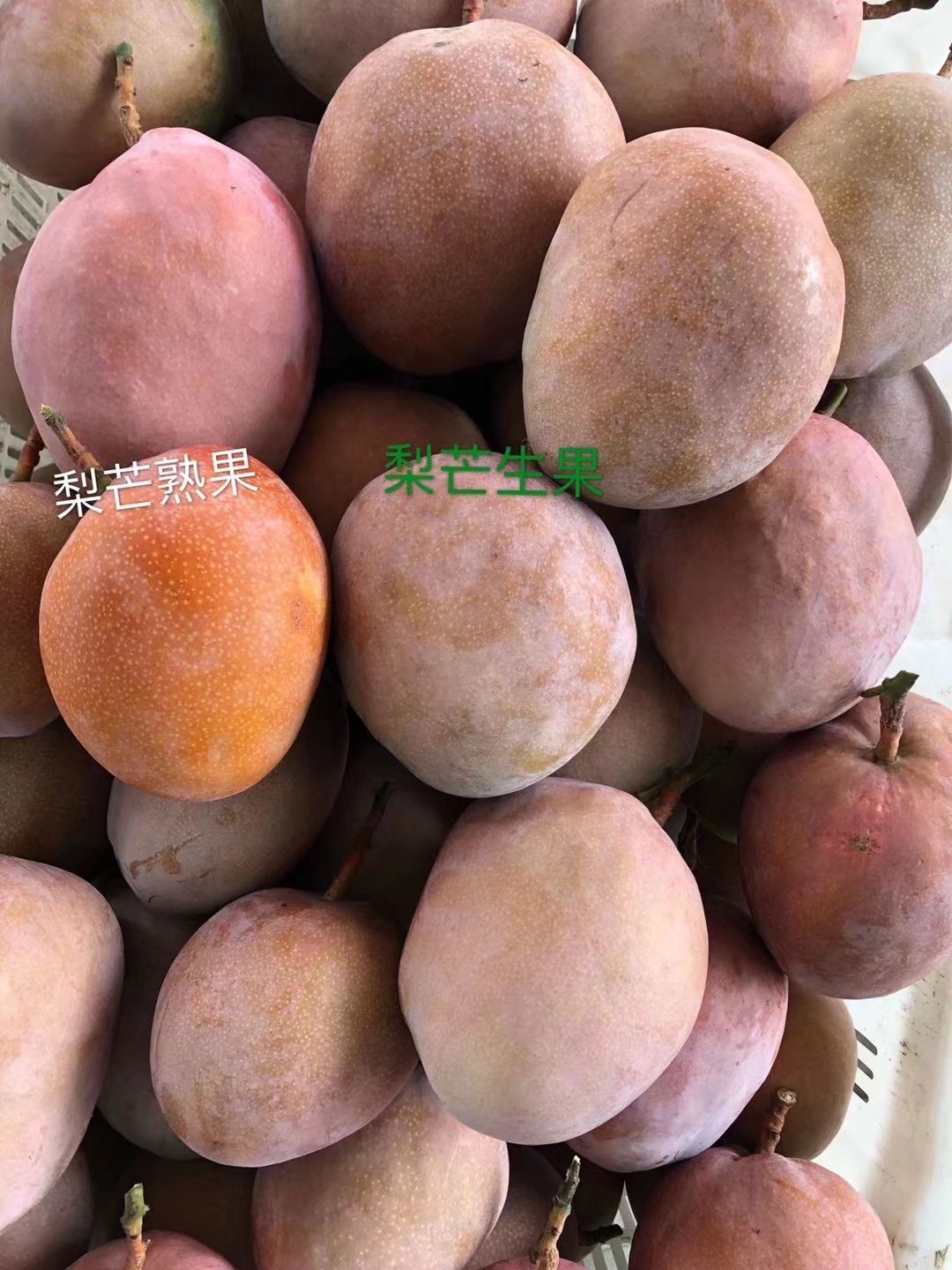 攀枝花梨芒芒果（原产地发货）