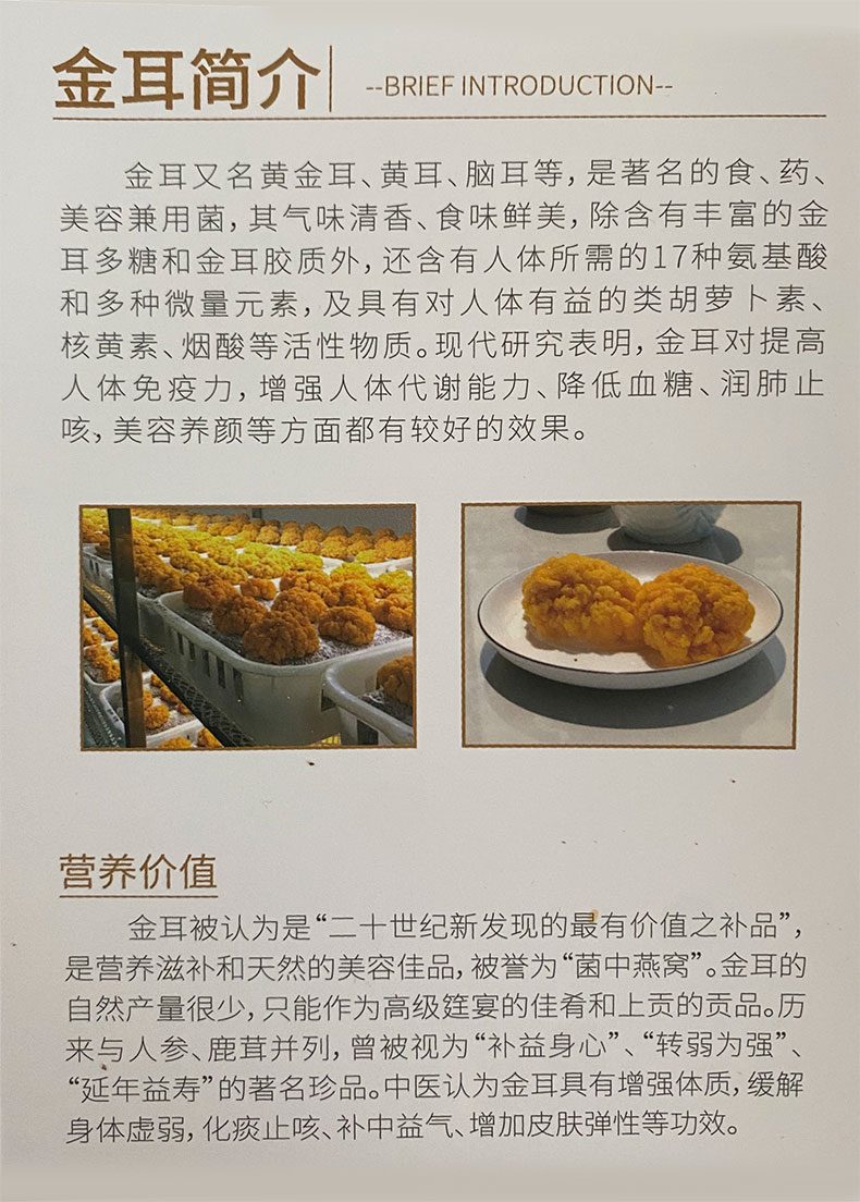 云南特产新鲜黄金耳脑耳黄金耳（顺丰包邮）