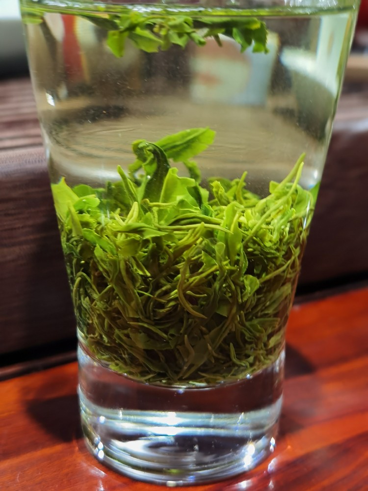 2024年 早春新茶 湖北五峰毛尖绿茶（武汉库包邮）