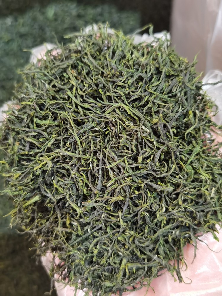 2024年 早春新茶 湖北五峰毛尖绿茶（武汉库包邮）