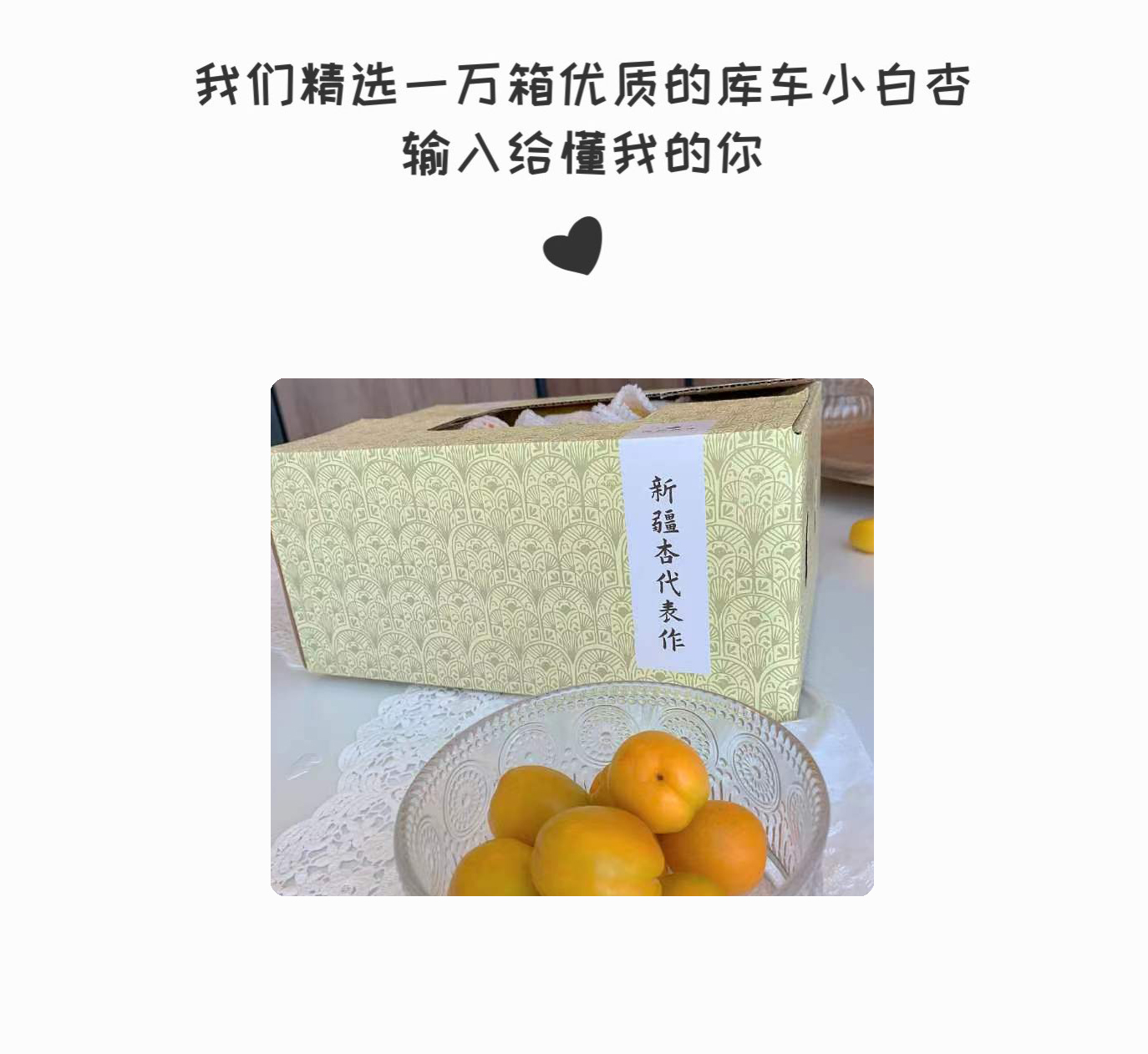 预售特价 三个三年西怀风味新疆库车小白杏子（原产地发货）
